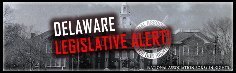 National Association for Gun Rights - Delaware Petition